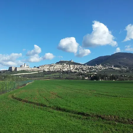 Assisana Affittacamere Santa Maria Degli Angeli (Assisi)