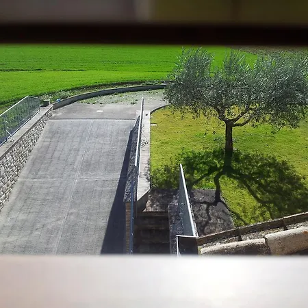Assisana Affittacamere Santa Maria Degli Angeli (Assisi)